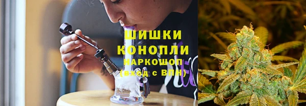 apvp Богданович