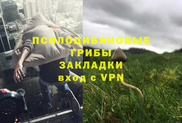 mdpv Богородск