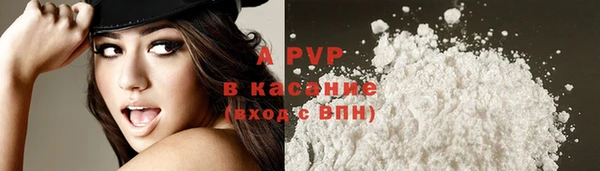 mdpv Богородск