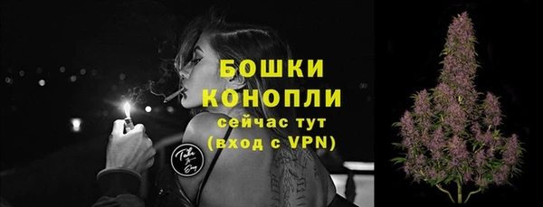 apvp Богданович