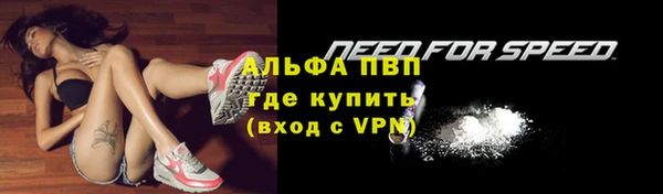 apvp Богданович