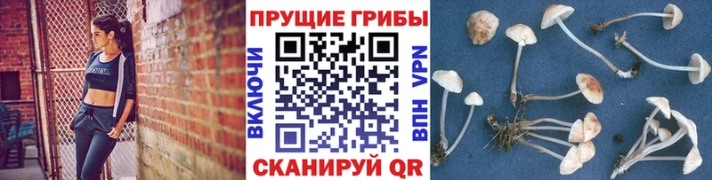 Галлюциногенные грибы мухоморы  Мезень 